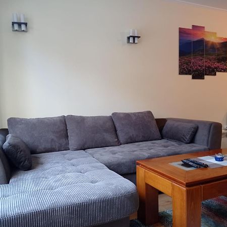 Pine Tree Apartment 3 - B3 Bansko Extérieur photo