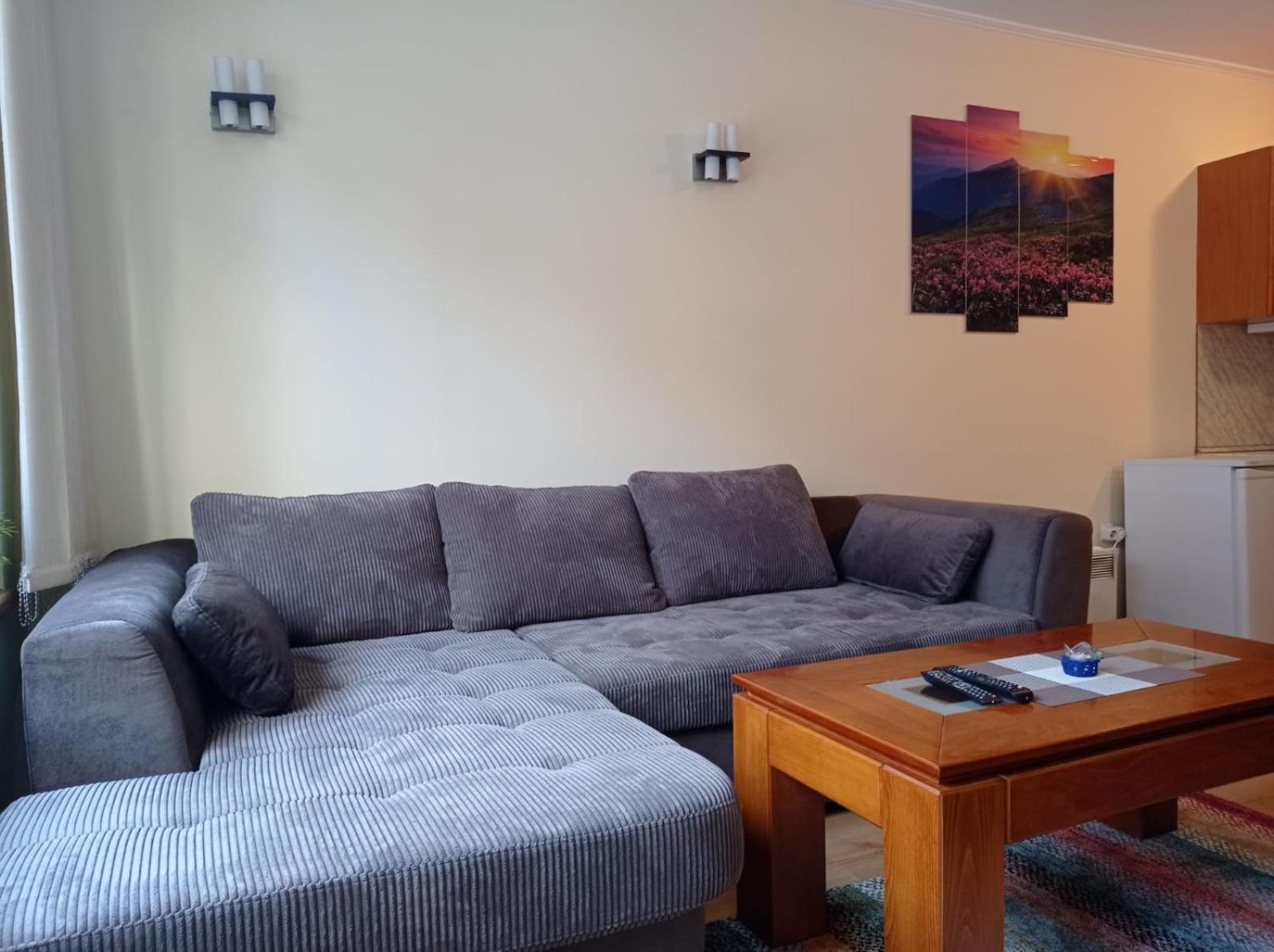 Pine Tree Apartment 3 - B3 Bansko Extérieur photo