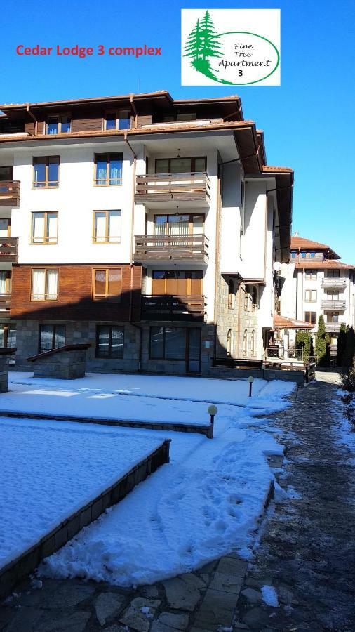 Pine Tree Apartment 3 - B3 Bansko Extérieur photo