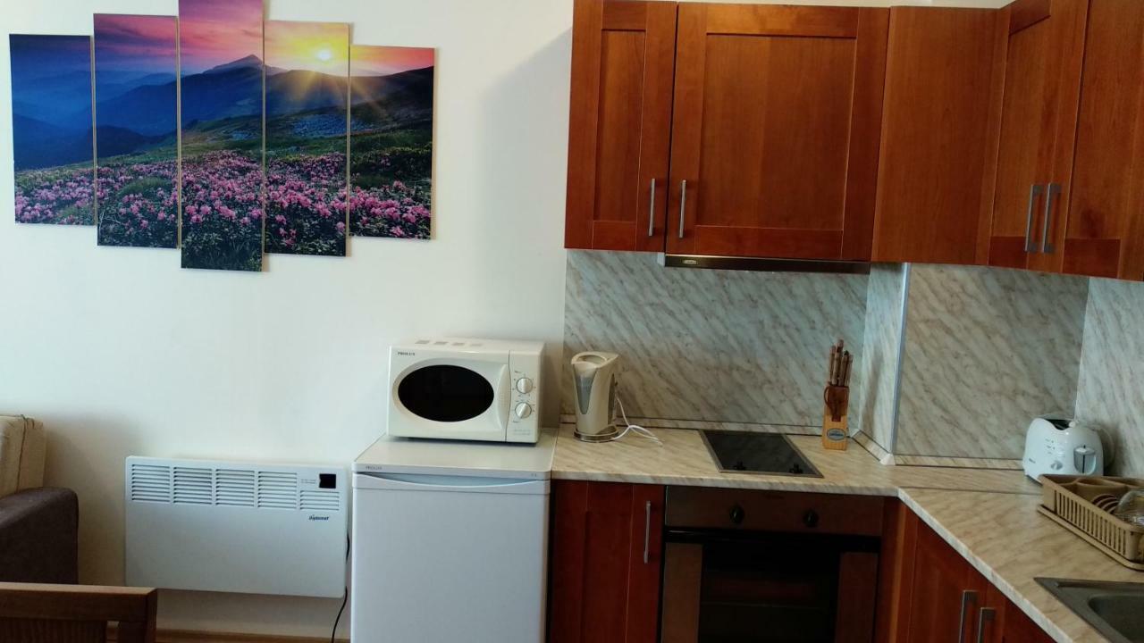 Pine Tree Apartment 3 - B3 Bansko Extérieur photo