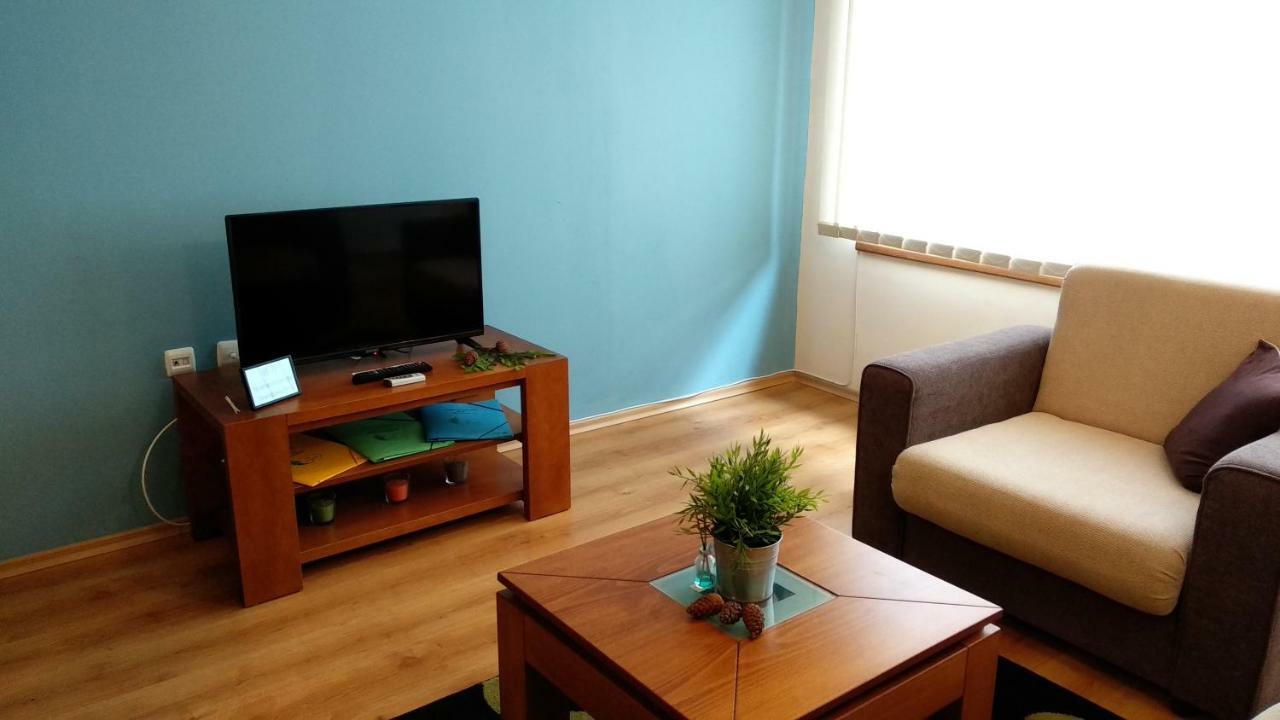 Pine Tree Apartment 3 - B3 Bansko Extérieur photo