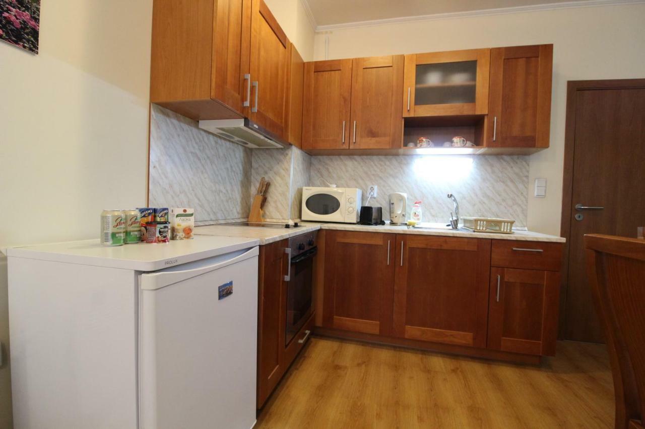 Pine Tree Apartment 3 - B3 Bansko Extérieur photo